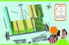 BC_phan lo-01.jpg
