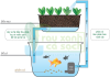 Hệ thống Aquaponics đảm bảo an toàn thực phẩm.png