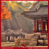 chuc-mung-visa-tran-quoc-hung2.gif