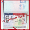 chuc-mung-chi-tu-anh-co-visa-my.gif