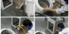 a-bao-1-660x330.jpg