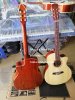 mua-dan-guitar-go-hong-dao-tai-quan-go-vap.jpg mua-dan-guitar-go-hong-dao-tai-quan-go-vap.jpg
