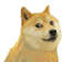 Shiba.gif