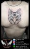 hình xăm ảo giác - illusion tattoo.jpg hình xăm ảo giác - illusion tattoo.jpg