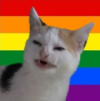 1774844795857.png
