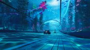 IMG_3466.jpeg