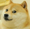 1778257765269.png