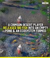 IMG_6527.jpeg