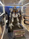 IMG_6587.jpeg