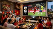 may-chieu-xem-world-cup-2026-gia-dinh-gia-re.jpg