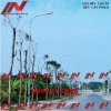 cot den cao ap bat giac lien can don pn06.jpg