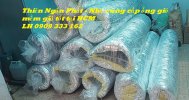 giao -hang-ong-gio-mem-tại-hcm -tnp.jpg