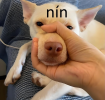 1785310841942.png