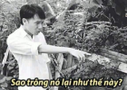1785905345449.png