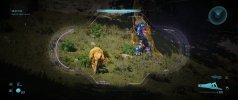 Halo.jpg