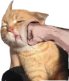 1786418282438.png