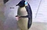 1000016763.jpg