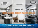 MAY-LANH-AM-TRAN-LG.jpg