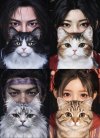 WWM Cat.jpg