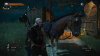 witcher3 2015-05-28 19-46-32-41.jpg witcher3 2015-05-28 19-46-32-41.jpg