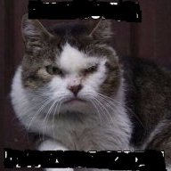 alexanderpaphlagonian