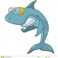 Cá Mập Răng Sún