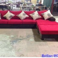 phale0492