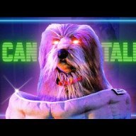 Mai fen đút đít không?