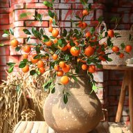 nhaxinhhomedecor