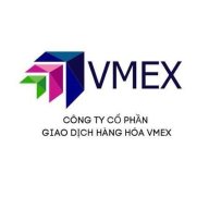 vmex1919