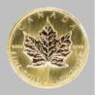 thám tử tập sự