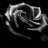 black_rose2007